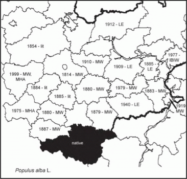 Расселение Populus alba в Средней России